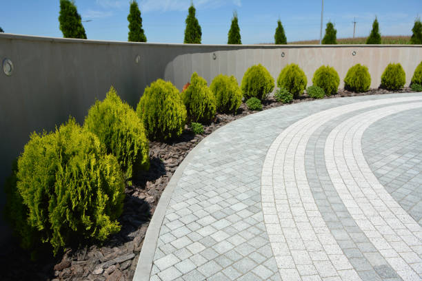 Park Forest, IL Driveway Pavers Company
